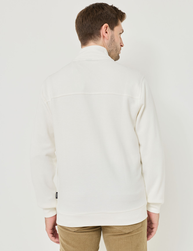 Model Back View
