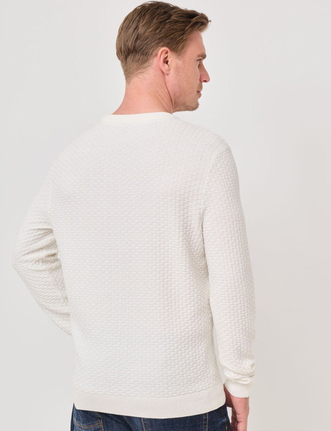 Model Back View