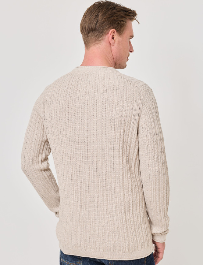 Model Back View
