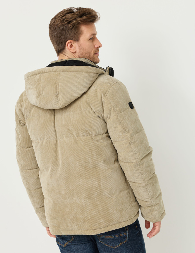 Model Back View